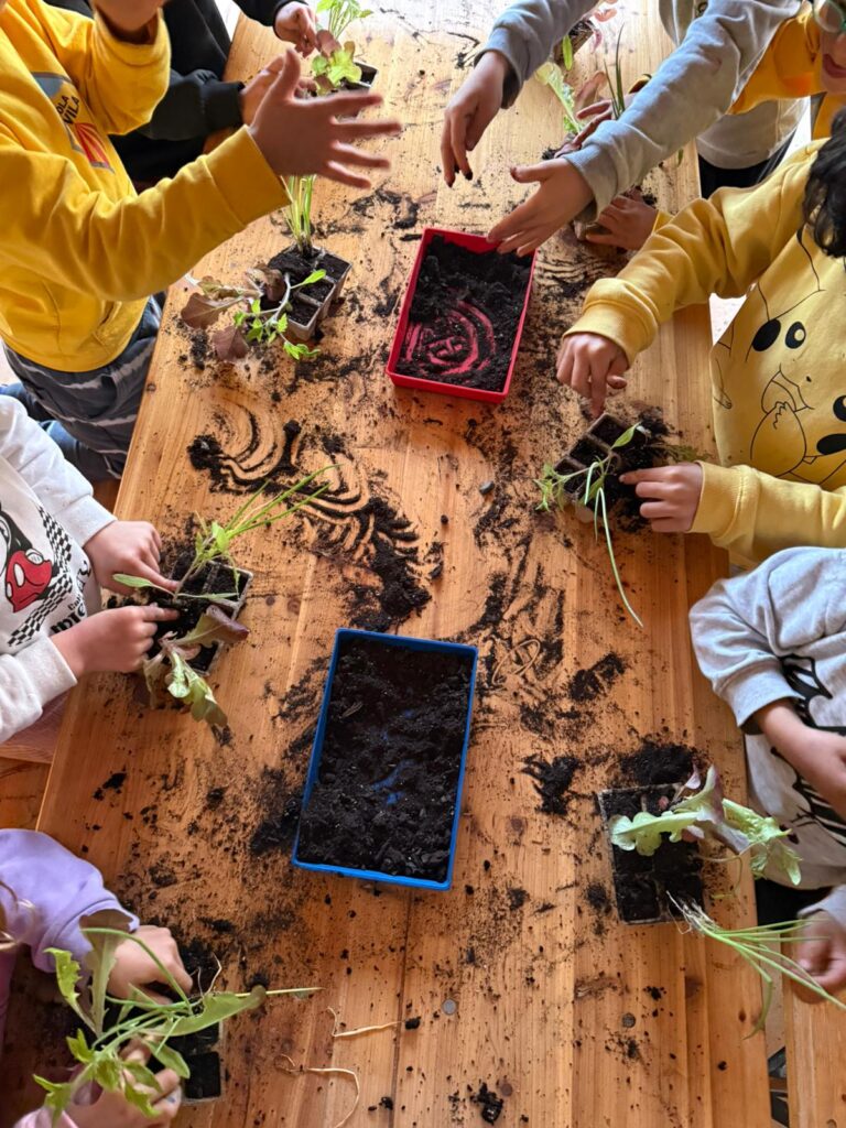 Colònies escolars El Ginebrò